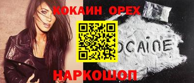 крисы Ливны