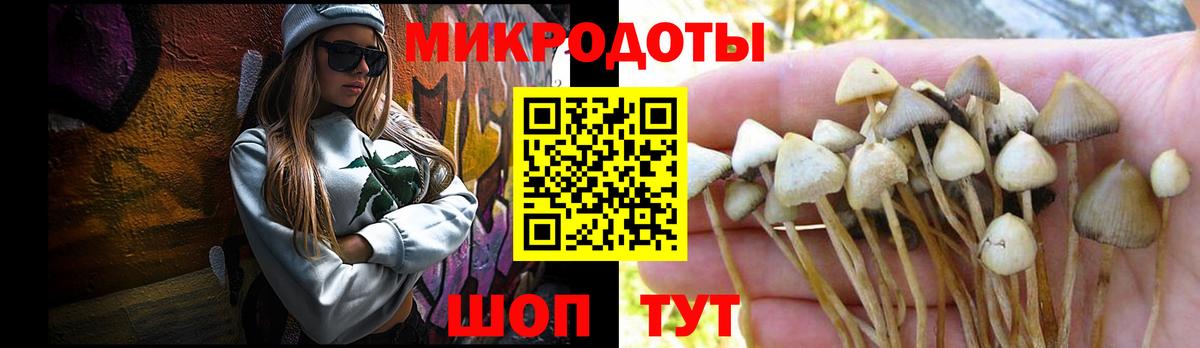 Заволжье  Галлюциногенные грибы Psilocybe  Вход с VPN 
